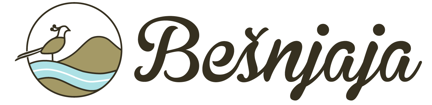 Bešnjaja